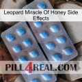 Leopard Miracle Of Honey Side Effects viagra4